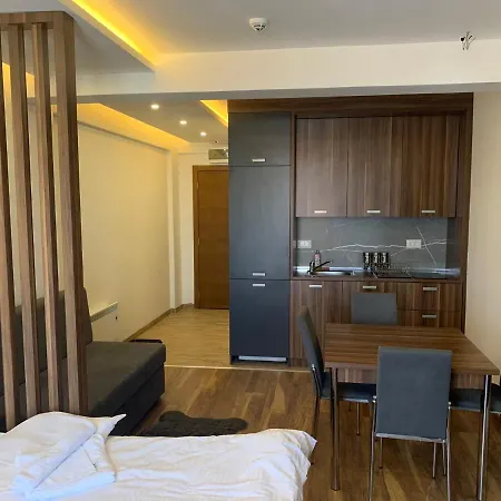 President Kop S2 Daire Kopaonik