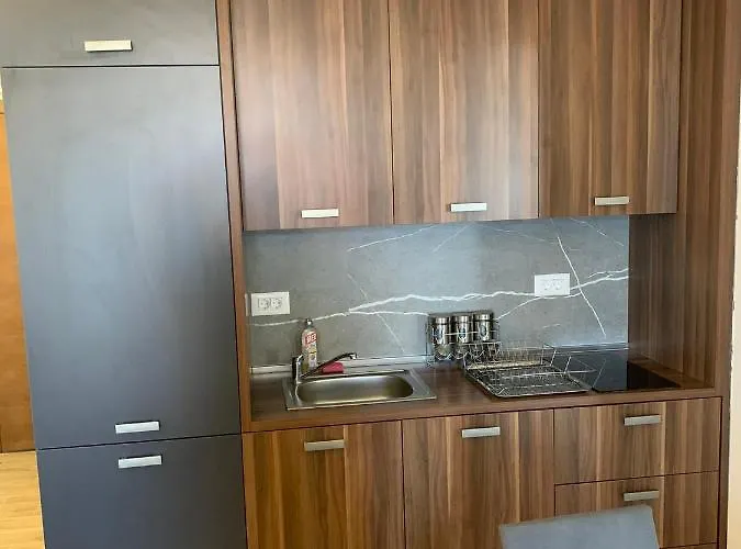 President Kop S2 * Kopaonik